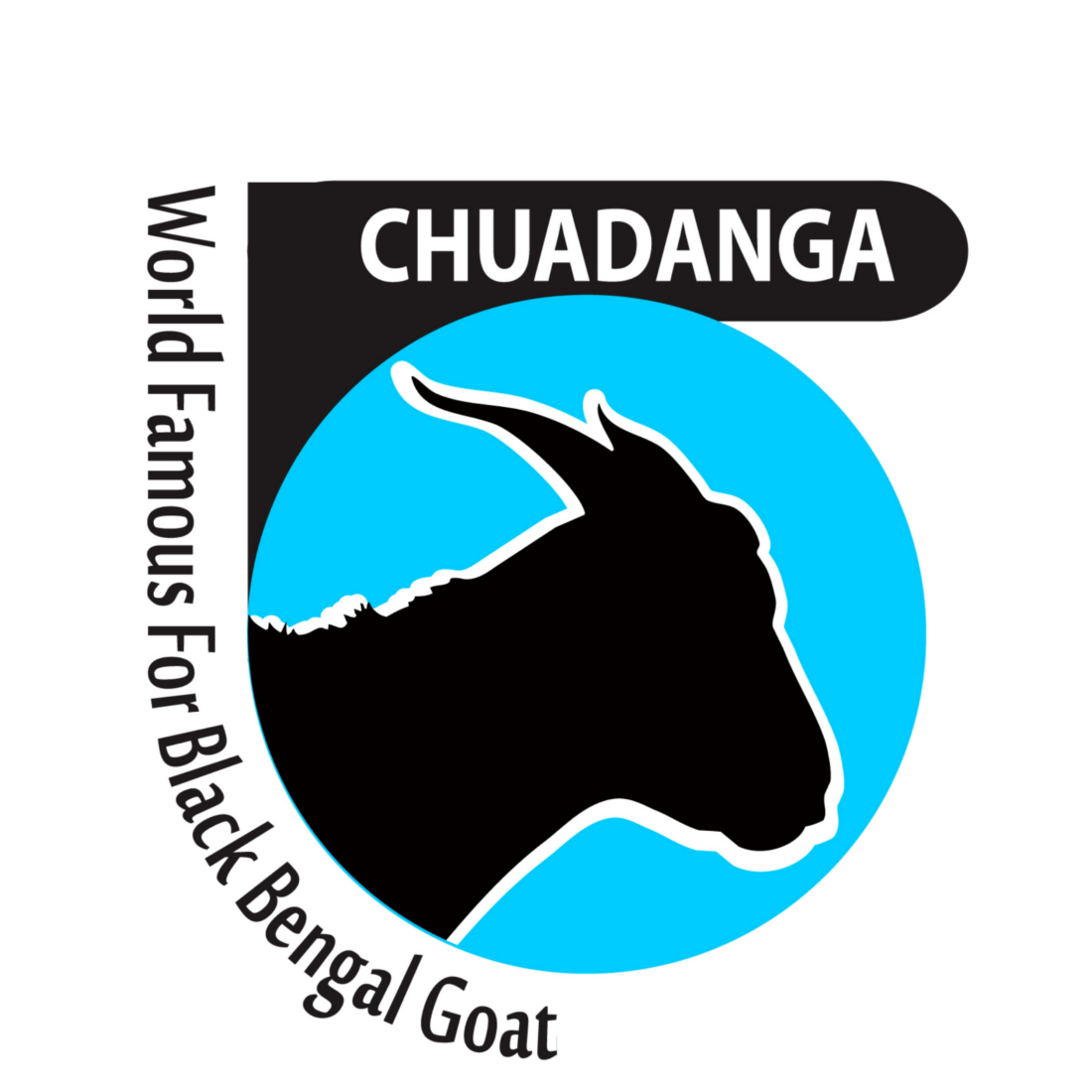 Chuadanga