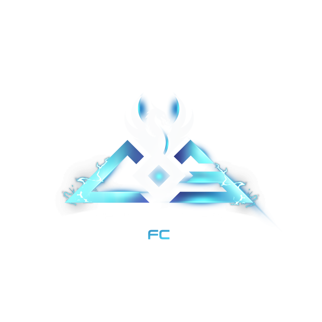 Cs6 fc