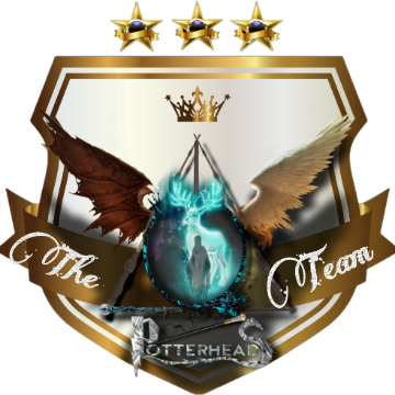 The potterheads team