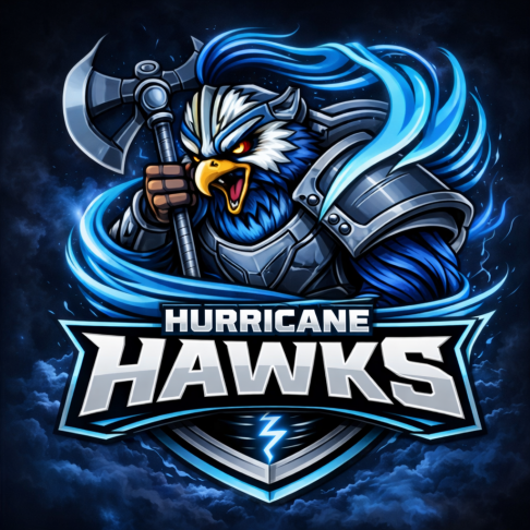 Hurricane hawks