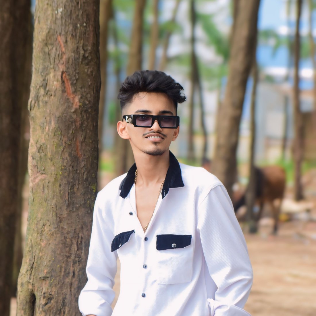 Hasan Ahmed Shagor