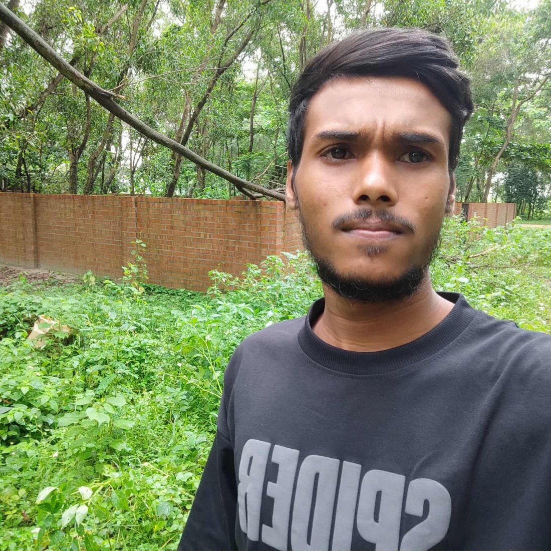 SB Saju