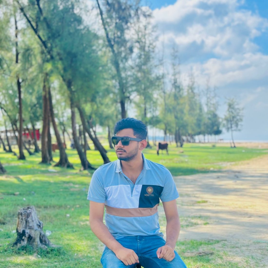 Md Hasib