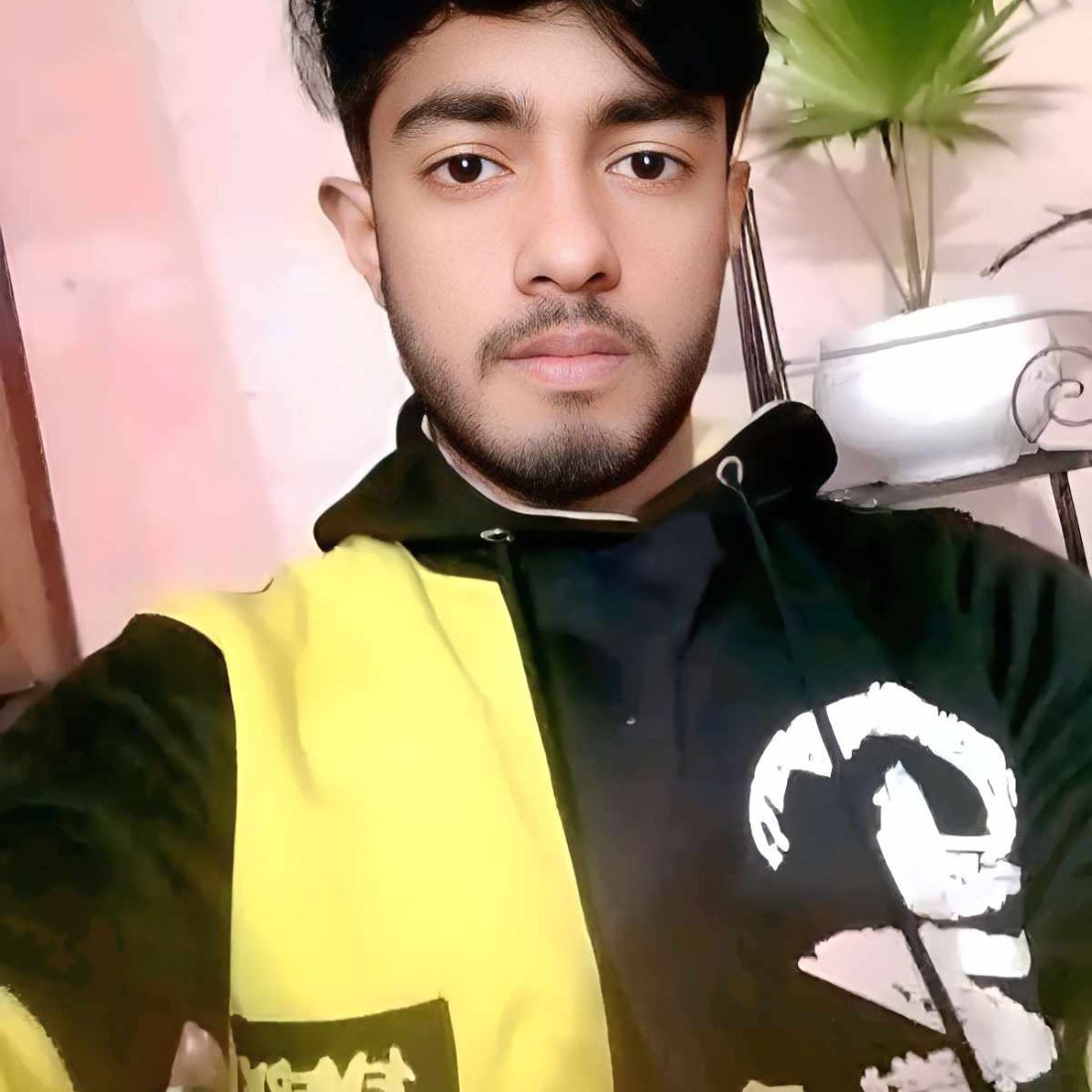 M Al Amin Mahmud