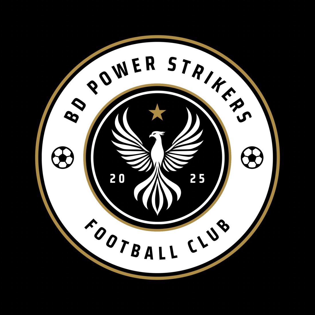 BPSC logo
