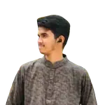 Mahmudul Hasan
