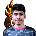 Ehsanul Hoque