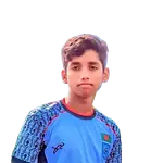 Mozahidul Islam