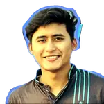 Nizam Sarkar