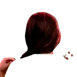 Emu Akther