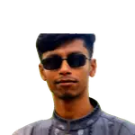 M Shafikul Biswas