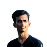 Atik Aslam~WS