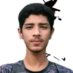 Mohammad Ariful Ahmed