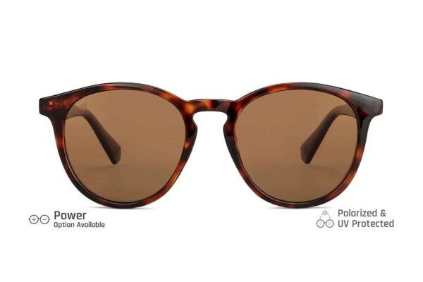 Brown Tortoise Full Rim Round Sunglasses